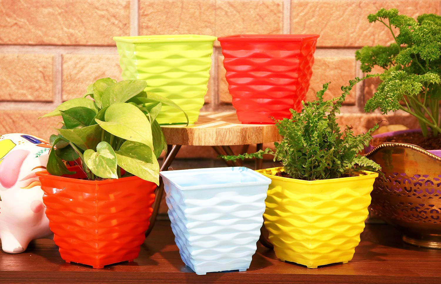 Leafy Tales Plastic Diamond Pots, Multicolor, 10x10x6 cm, 10 pcs (Square-10)
