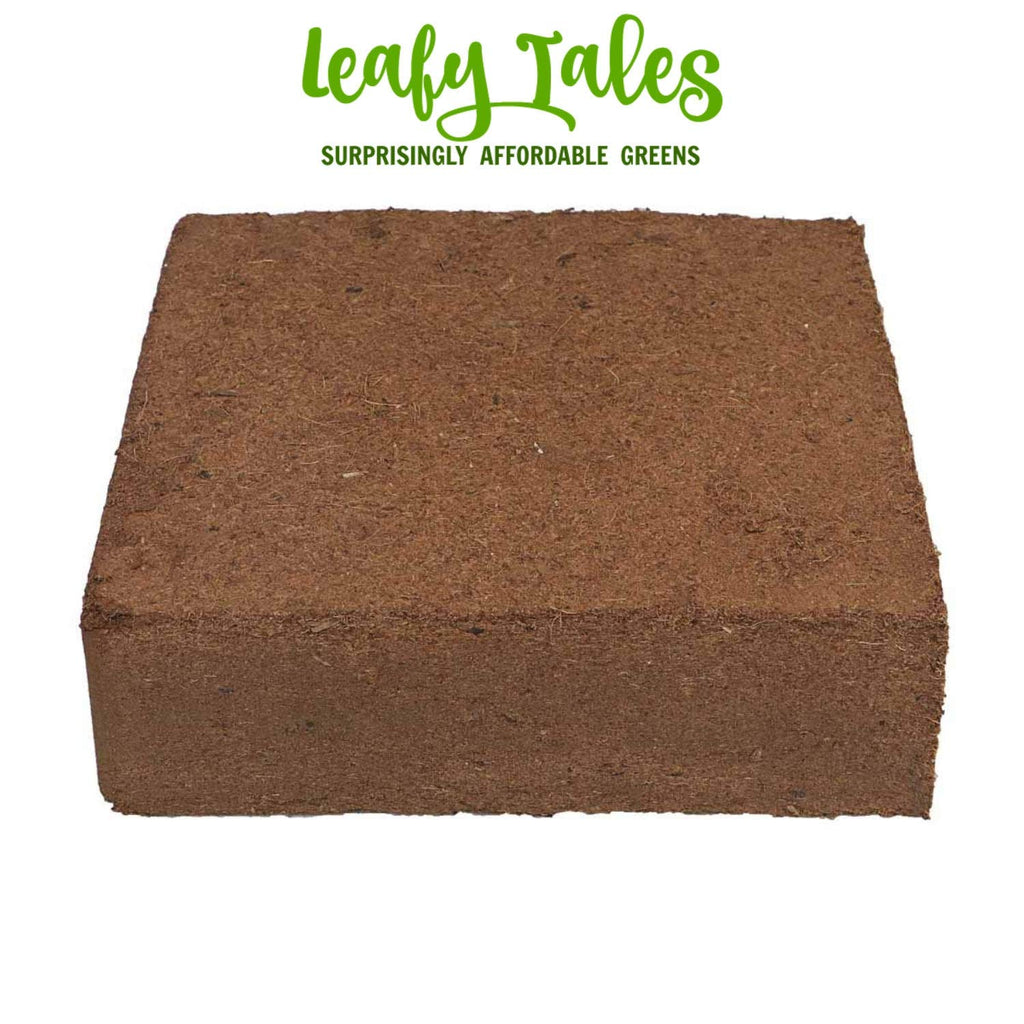 Leafy Tales Cocopeat Brick 4.5-5 kg, Expands Up to 80L, Ideal Growing Media for Plants