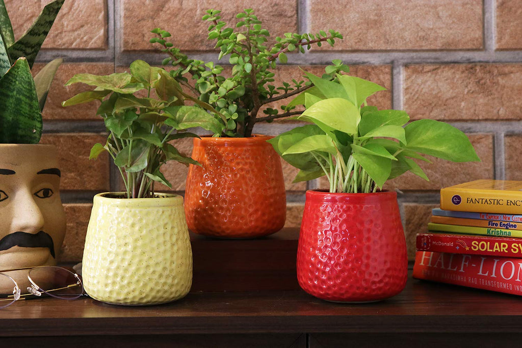 Leafy Tales Honeycomb Texture Ceramic Pot for Home Garden Decor Glossy Red