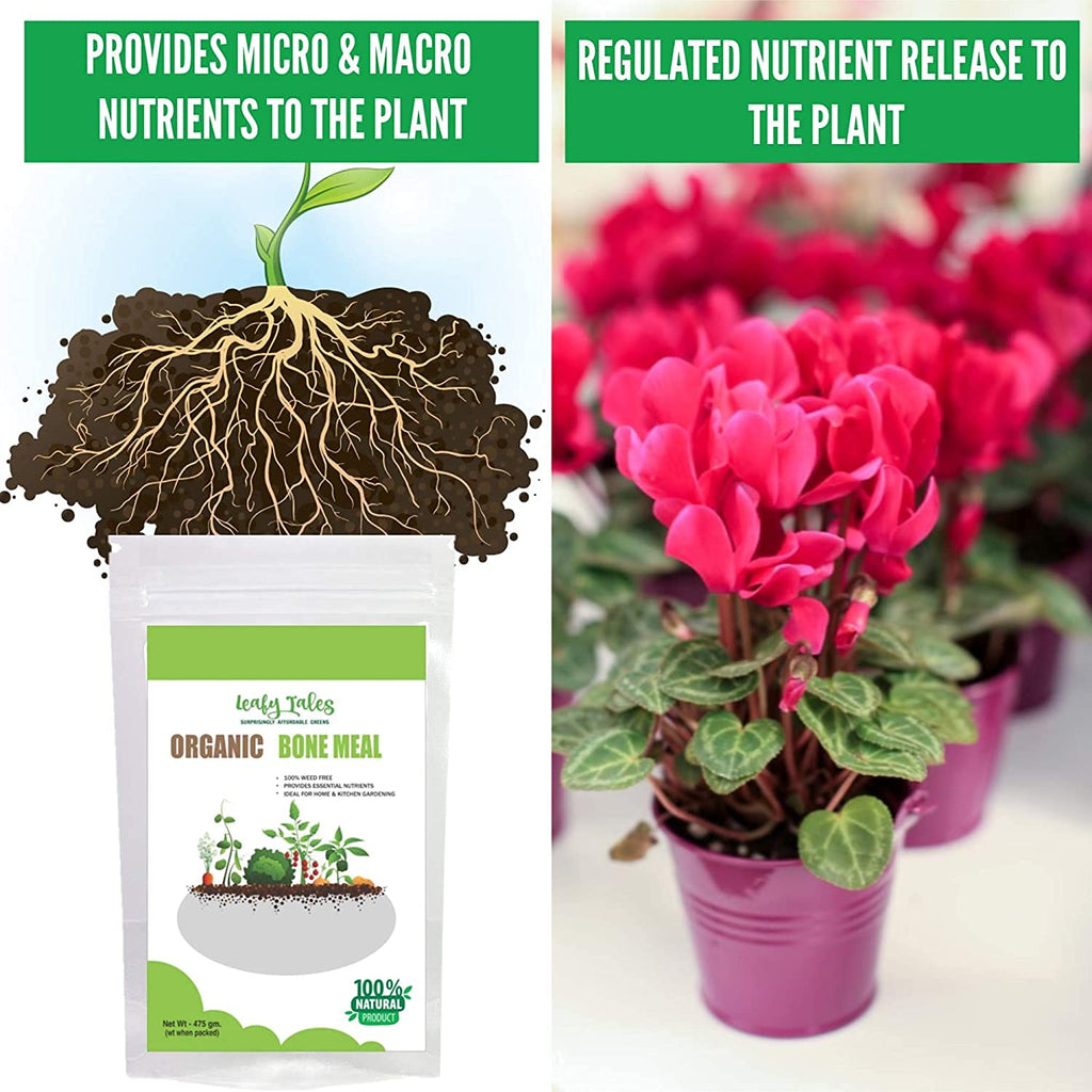 Leafy Tales Sterilized Bone Meal Organic Fertilizer for Plants 2kg - High Phosphorus & Calcium Supplement for Root Growth and Flowering | Natural Steamed Bone Meal Khad for Home Garden