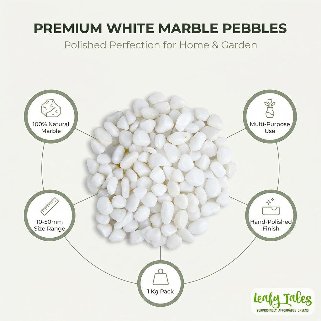 Leafy Tales White Polished Marble Stone Pebbles for Home & Garden Decoration| White Polish 1 Kg
