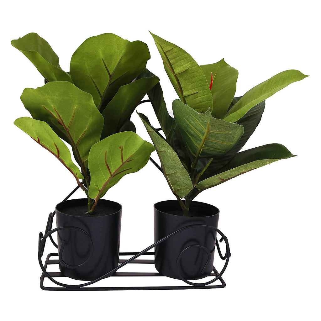 Leafy Tales Wall Mounted Metal Plant Stand Set of 2- Elegant Iron Flower Pot Holder for Indoor & Outdoor Walls | Decorative Rust-Proof Hanging Gamla Stand for Balcony, Living Room & Garden