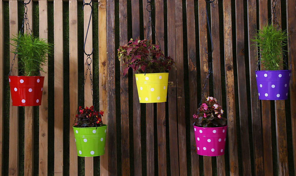 Leafy Tales Metal Chain Hanging Planter - Set of 5 (Rust Free - Red, Green, Yellow, Pink, Purple) - with Chains, 14 cm x 17 cm x 14.5 cm