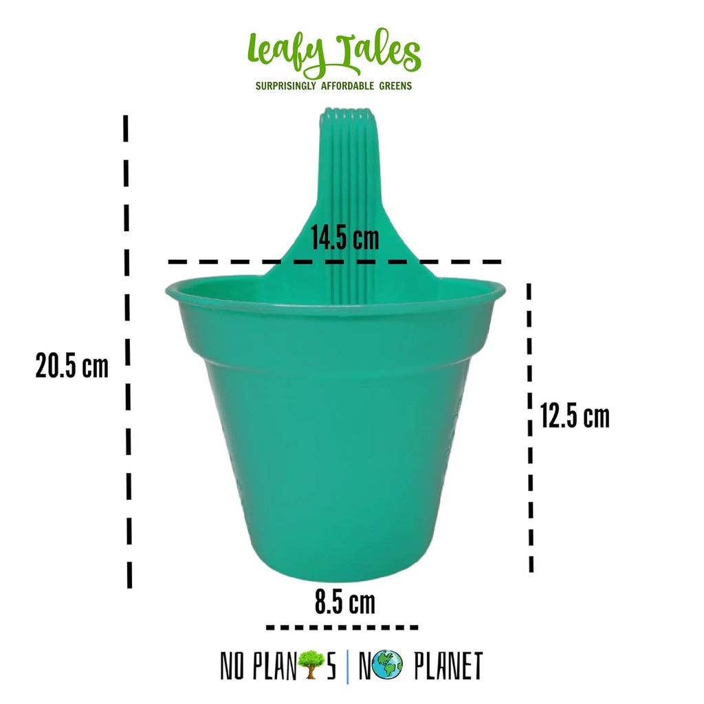 Leafy Tales Plastic Small Hook Hanging Pot, Multicolor 20.5 x 14.5 x 8.5 cm, 5 Pieces (Small Hook - 5) Plastic Pots, Pots for Plants, Gardening (Multicolour, Size: Small, Set of 5)