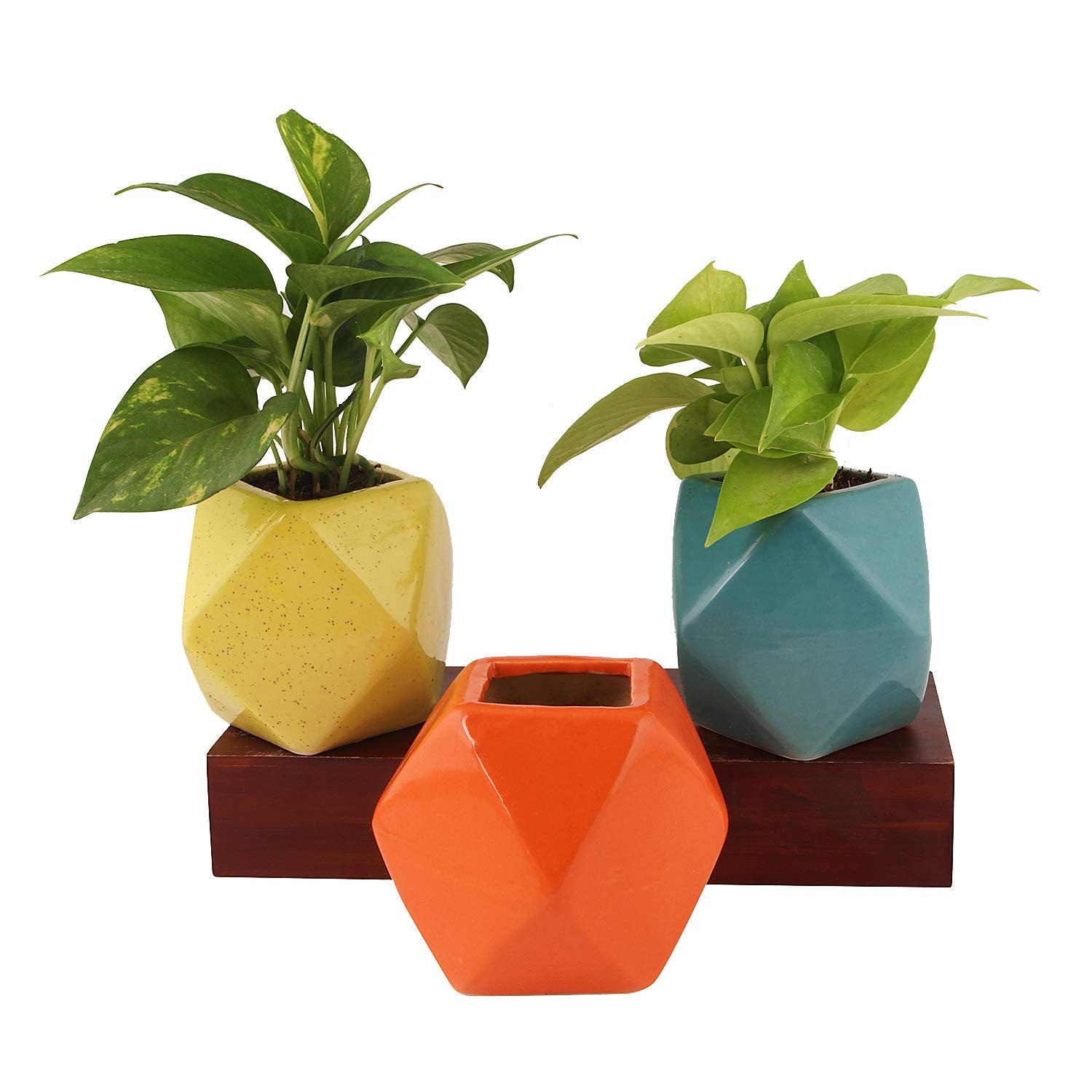 Leafy Tales Set of 2 - Polygon Shape Ceramic Pot, Pot only, | Multicolor, Polygon - 2 (Polygon - 2)