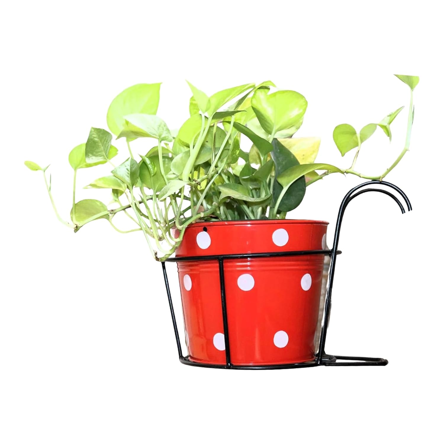 Leafy Tales Metal Hanging Flower Pot Railing Stand (Set of 1) - Rust-Proof Black Plant Holders for Balcony Grill & Terrace | Heavy Duty Hanging Planter Baskets for Home Garden Decor