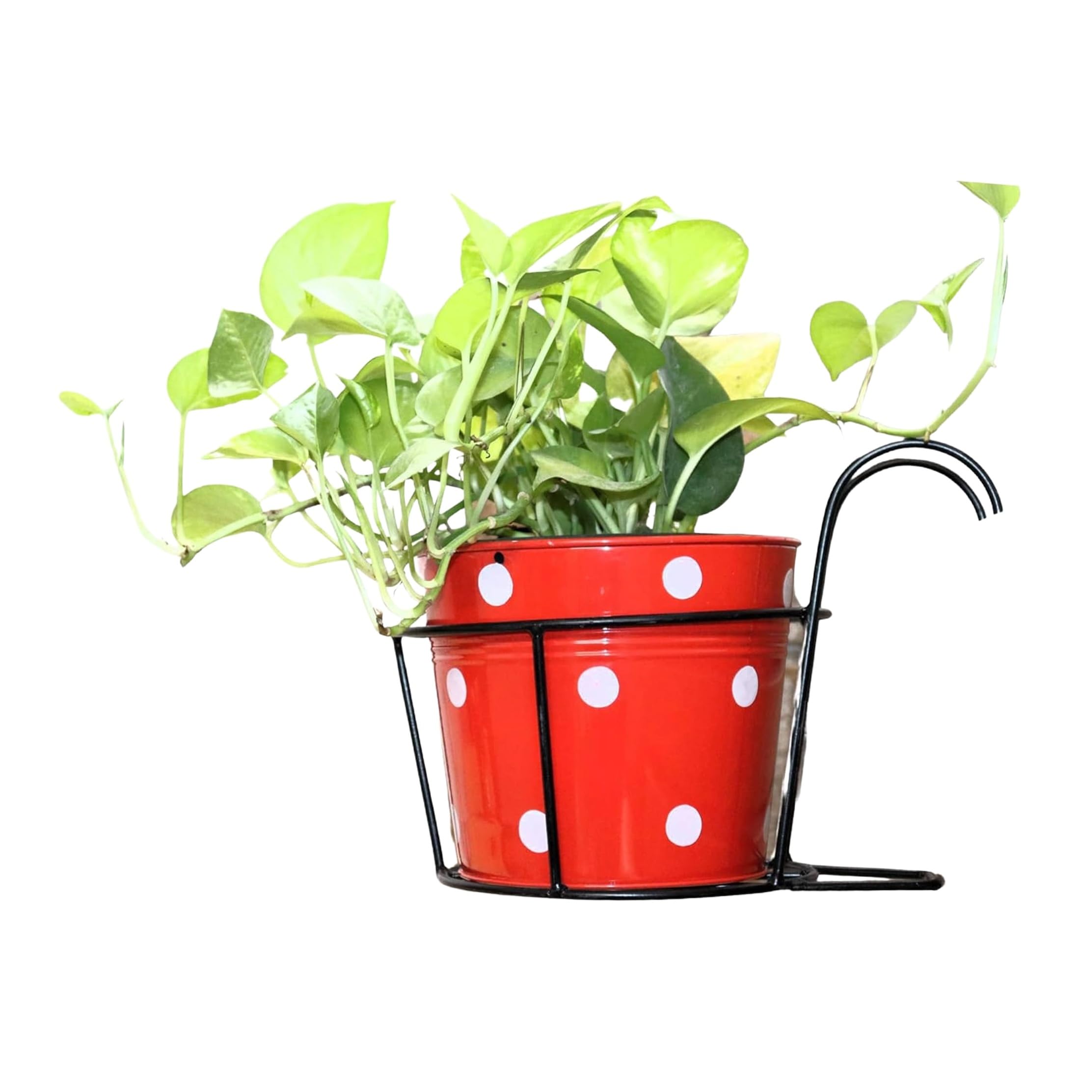 Leafy Tales Metal Hanging Flower Pot Railing Stand (Set of 2) - Rust-Proof Black Plant Holders for Balcony Grill & Terrace | Heavy Duty Hanging Planter Baskets for Home Garden Decor