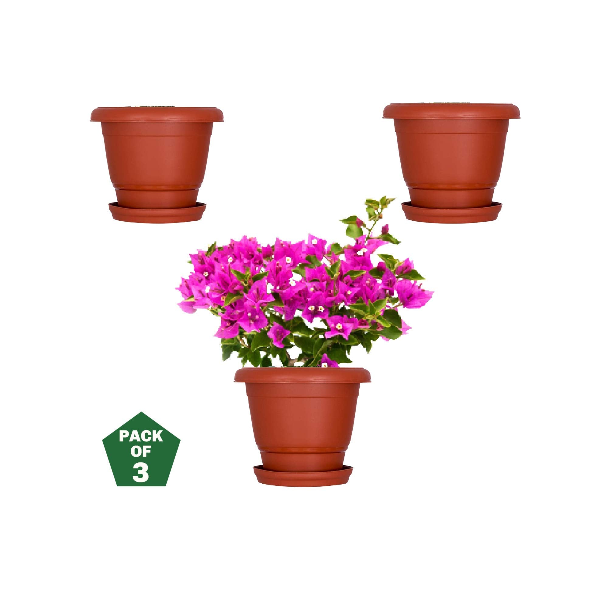 Leafy Tales 6-inch Plastic Flower Pots with 4-inch Dripping Trays (Pack of 5 Sets) - Terracotta Colour Garden Gamla for Home & Outdoor Balcony - Durable Indoor/Outdoor Planters with Drainage Saucers