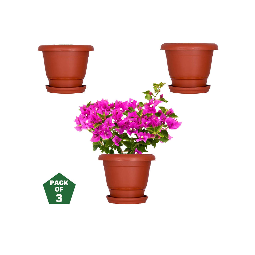 Leafy Tales 6-inch Plastic Flower Pots (Pack of 6) - Terracotta Colour Garden Gamla for Home & Outdoor Balcony - Durable Indoor/Outdoor Planters with Drainage Saucers