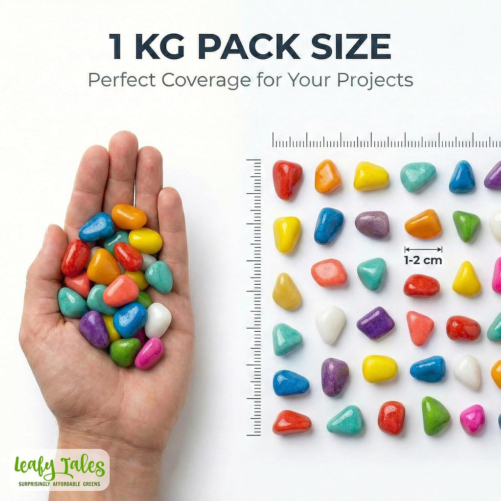 Leafy Tales Rainbow Colored Pebbles 1 kg