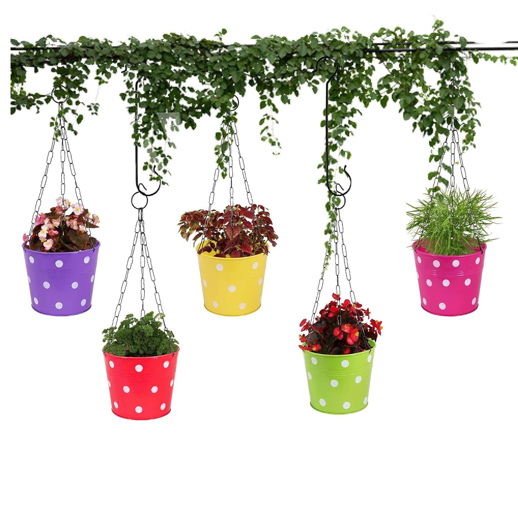 Leafy Tales Metal Chain Hanging Planter - Set of 5 (Rust Free - Red, Green, Yellow, Pink, Purple) - with Chains, 14 cm x 17 cm x 14.5 cm