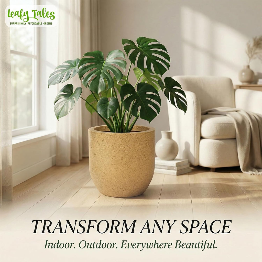 Leafy Tales Modern Round Planter for Home Décor 12 INCH, Highly Durable,Lightweight Indoor Outdoor Planter, Flower Pot Gamla,Tree Planter, Pot for Balcony Garden, Vegetables, Flowers & Greenery