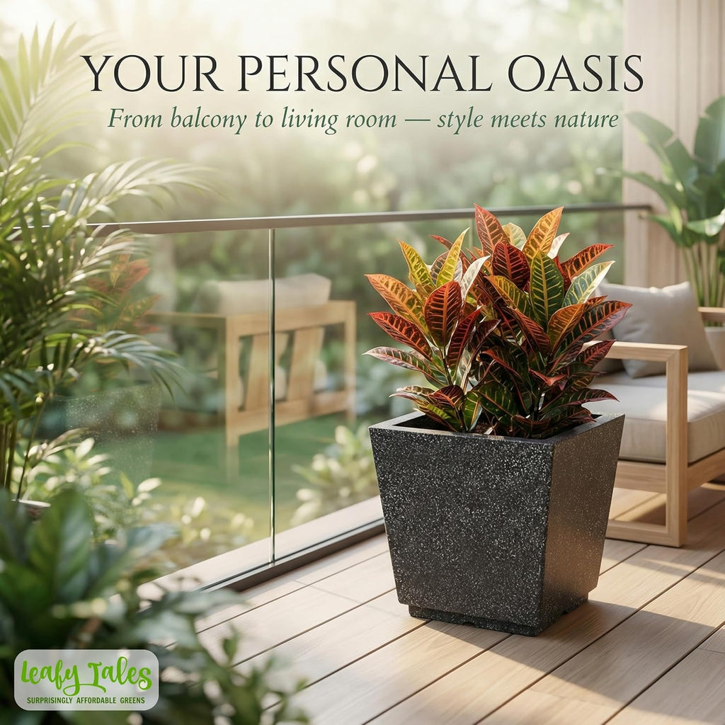 Leafy Tales Modern Square Planter for Home Decor 12 INCH, Highly Durable,Lightweight Indoor Outdoor Planter, Flower Pot Gamla,Tree Planter, Pot for Balcony Garden, Vegetables, Flowers & Greenery