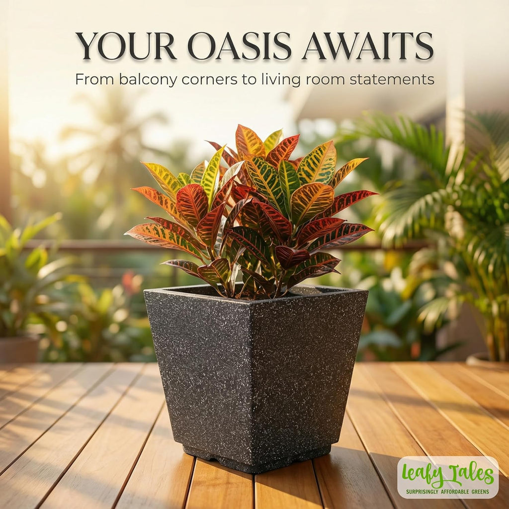Leafy Tales Modern Square Planter for Home Decor 10 INCH, Highly Durable,Lightweight Indoor Outdoor Planter, Flower Pot Gamla,Tree Planter, Pot for Balcony Garden, Vegetables, Flowers & Greenery