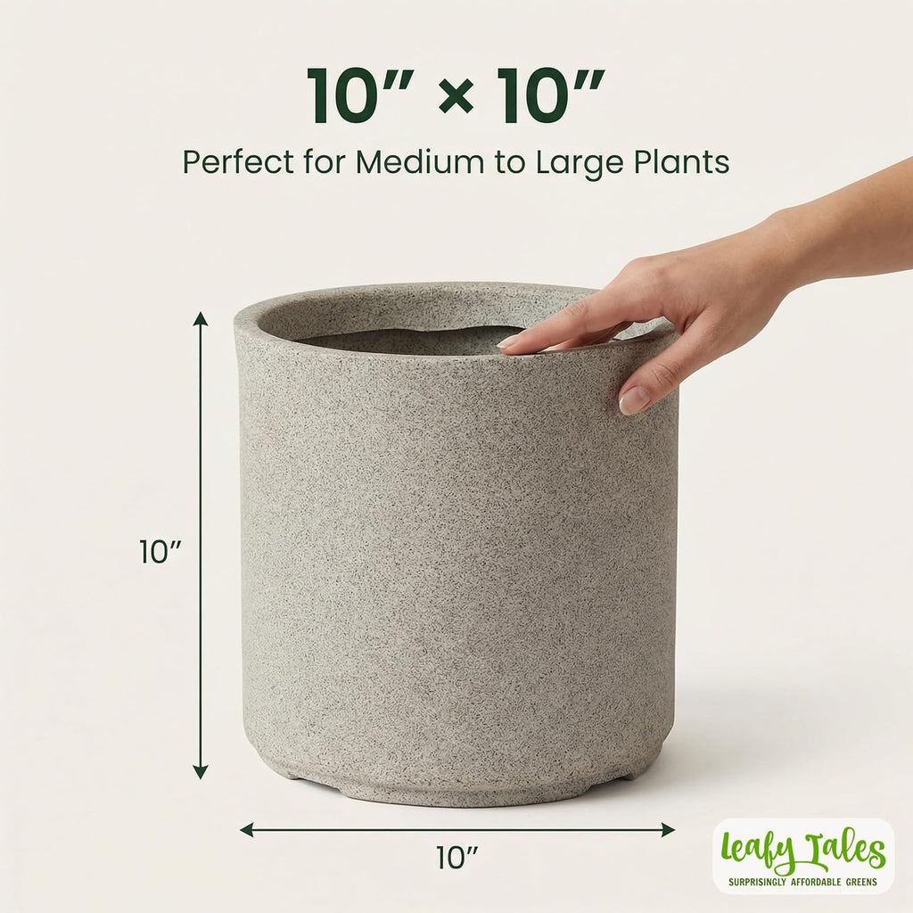 Leafy Tales Modern Round Cylindrical Planter for Home Décor 10 INCH, Highly Durable,Lightweight Indoor Outdoor Planter, Flower Pot Gamla, Pot for Balcony Garden, Vegetables