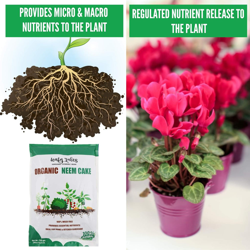 Leafy Tales Organic Neem Cake Powder for Plants 1kg - 100% Natural Neem Khali Fertilizer & Pest Repellent | Soil Conditioner & Growth Booster for Indoor and Outdoor Home Garden
