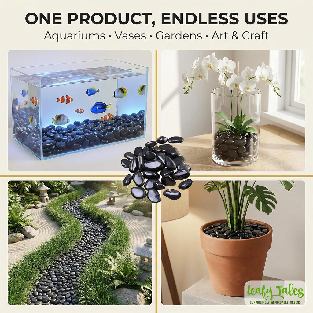 Leafy Tales Black Polished Marble Stone Pebbles for Home & Garden Decoration|Plants & Pots|Art & Craft|Aquarium Vase Filler | White Polish 500 GMS