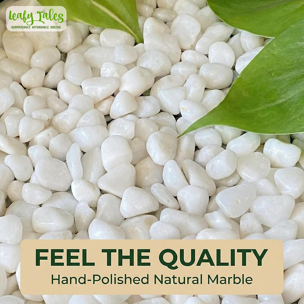 Leafy Tales White Polished Marble Stone Pebbles for Home & Garden Decoration| White Polish 1 Kg