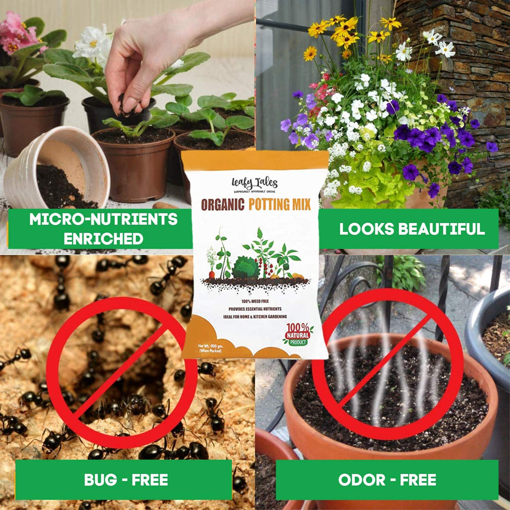 Leafy Tales Potting Soil Mix 2kg - Nutrient Enriched Formula for Faster Growth | 100% Organic & Light Weight with High Water Retention | Ideal for Flowering Plants, Herbs & Succulents