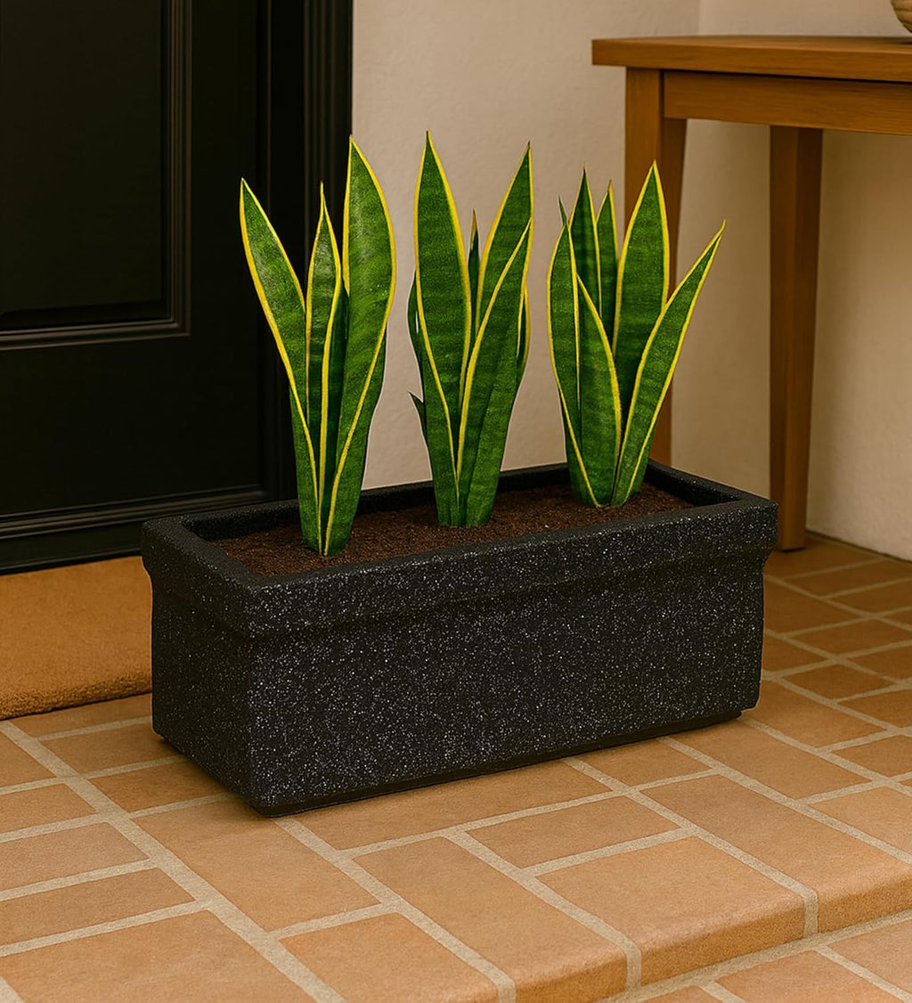 Leafy Tales Modern Rectangular Planter for Home Décor 21 INCH, Highly Durable,Lightweight Indoor Outdoor Planter, Flower Pot Gamla,Tree Planter, Pot for Balcony Garden, Vegetables, Flowers & Greenery