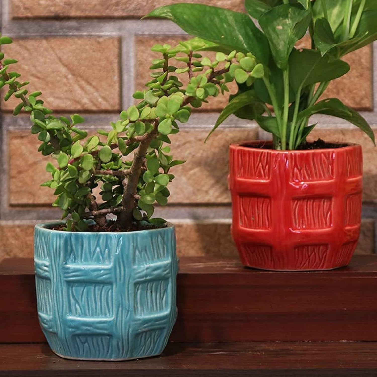 Leafy Tales Barrel Ceramic Pot Planter, Home Garden Decor 1pc (Barrel Aqua)