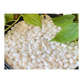 Leafy Tales White Polished Marble Stone Pebbles for Home & Garden Decoration| White Polish 1 Kg