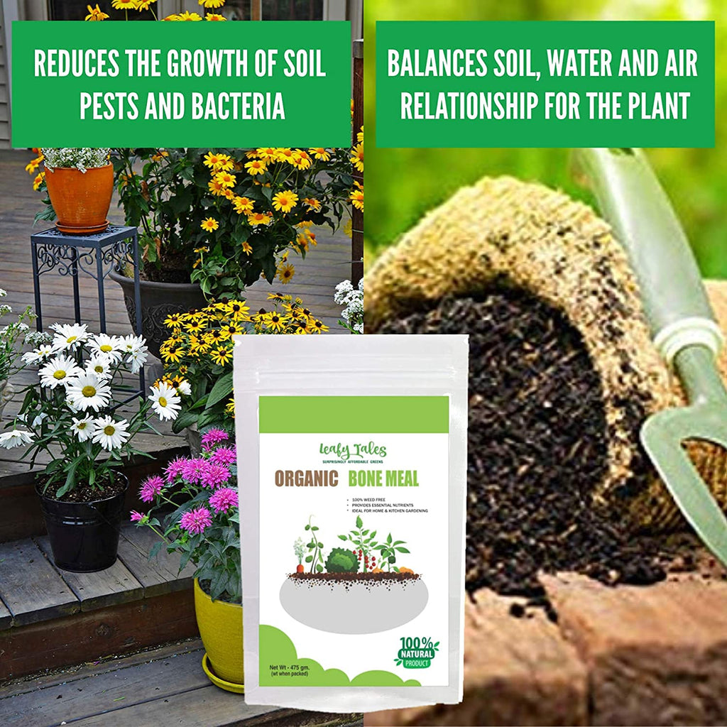Leafy Tales Sterilized Bone Meal Organic Fertilizer for Plants 2kg - High Phosphorus & Calcium Supplement for Root Growth and Flowering | Natural Steamed Bone Meal Khad for Home Garden