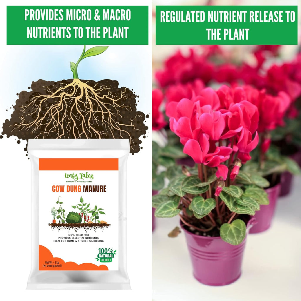Leafy Tales Organic Cow Dung Manure for Plants 1kg - Fully Decomposed & Odorless Gobar ki Khad for Home Garden | Nutrient-Rich Organic Fertilizer & Soil Enricher for Flowers & Vegetables
