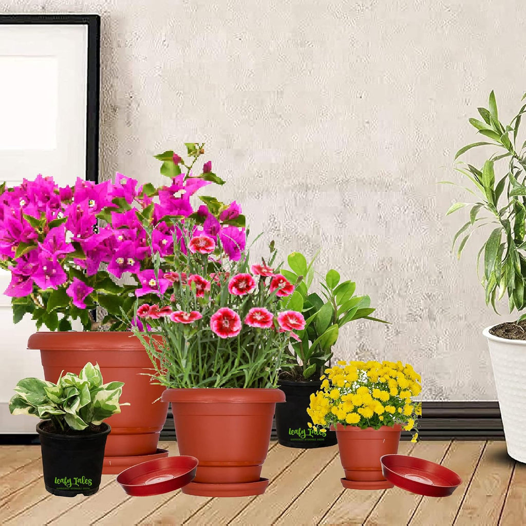 Leafy Tales 6-inch Plastic Flower Pots with 4-inch Dripping Trays (Pack of 5 Sets) - Terracotta Colour Garden Gamla for Home & Outdoor Balcony - Durable Indoor/Outdoor Planters with Drainage Saucers