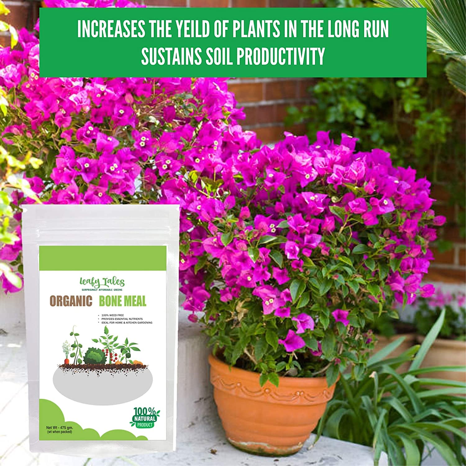 Leafy Tales Sterilized Bone Meal Organic Fertilizer for Plants 2kg - High Phosphorus & Calcium Supplement for Root Growth and Flowering | Natural Steamed Bone Meal Khad for Home Garden