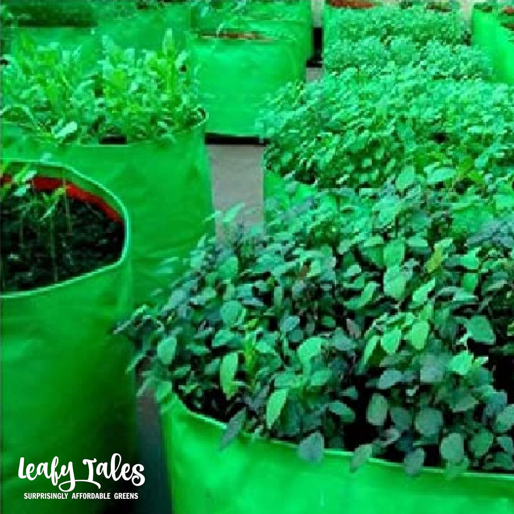 Leafy Tales HDPE Grow Bags, 12 x 12 inches, 5 Pieces, (Model: 12x12 Grow Bag - 5 pc)