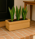 Leafy Tales Modern Rectangular Planter for Home Décor 21 INCH, Highly Durable,Lightweight Indoor Outdoor Planter, Flower Pot Gamla,Tree Planter, Pot for Balcony Garden, Vegetables, Flowers & Greenery