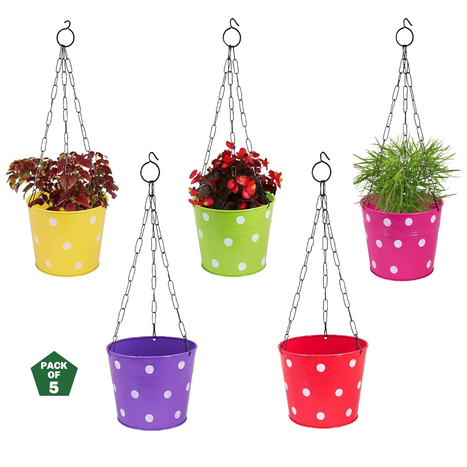 Leafy Tales Metal Chain Hanging Planter - Set of 5 (Rust Free - Red, Green, Yellow, Pink, Purple) - with Chains, 14 cm x 17 cm x 14.5 cm