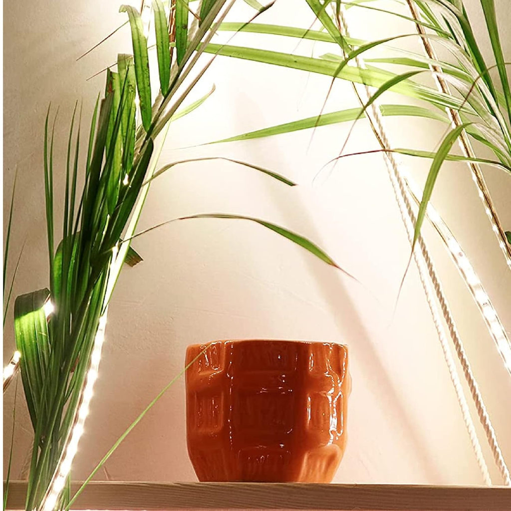 Leafy Tales Barrel Textured Ceramic Pot Planter for Home Garden Decor Office Decor, Orange, 1pc