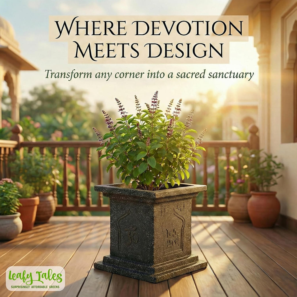 Leafy Tales Modern Greek Tulsi Pot/Planter for Home Décor 10 INCH, Highly Durable,Lightweight Indoor Outdoor Planter, Flower Pot Gamla,Tree Planter