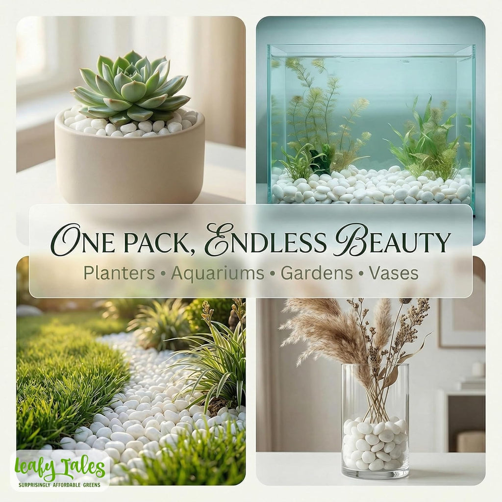 Leafy Tales White Polished Marble Stone Pebbles for Home & Garden Decoration| White Polish 1 Kg