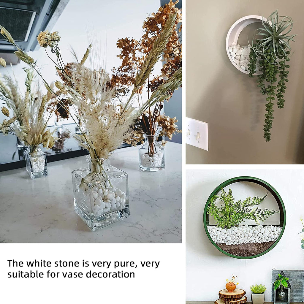 Leafy Tales White Polished Marble Stone Pebbles for Home & Garden Decoration|Plants & Pots|Art & Craft|Aquarium Vase Filler | White Polish 500 GMS