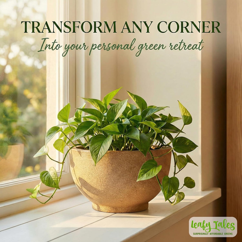 Leafy Tales Modern Round Planter for Home Décor 18 INCH, Highly Durable,Lightweight Indoor Outdoor Planter, Flower Pot Gamla,Tree Planter, Pot for Balcony Garden, Vegetables, Flowers & Greenery