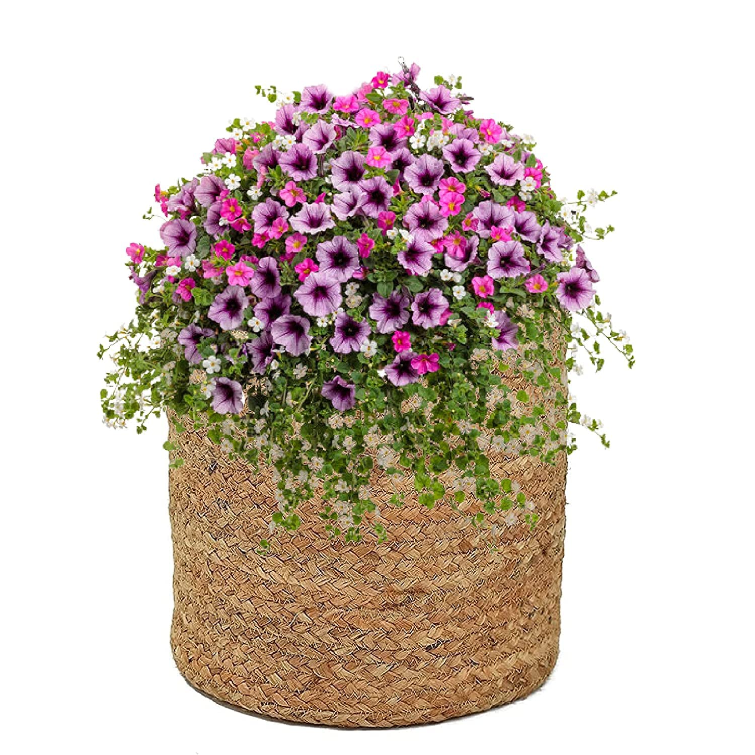 Leafy Tales HandWoven Round Pot Bag in Natural Jute - Plant Bag for All Plants, Indoor Outdoor Plant Sack (Set of 4) (Beige) (6x6 inches)