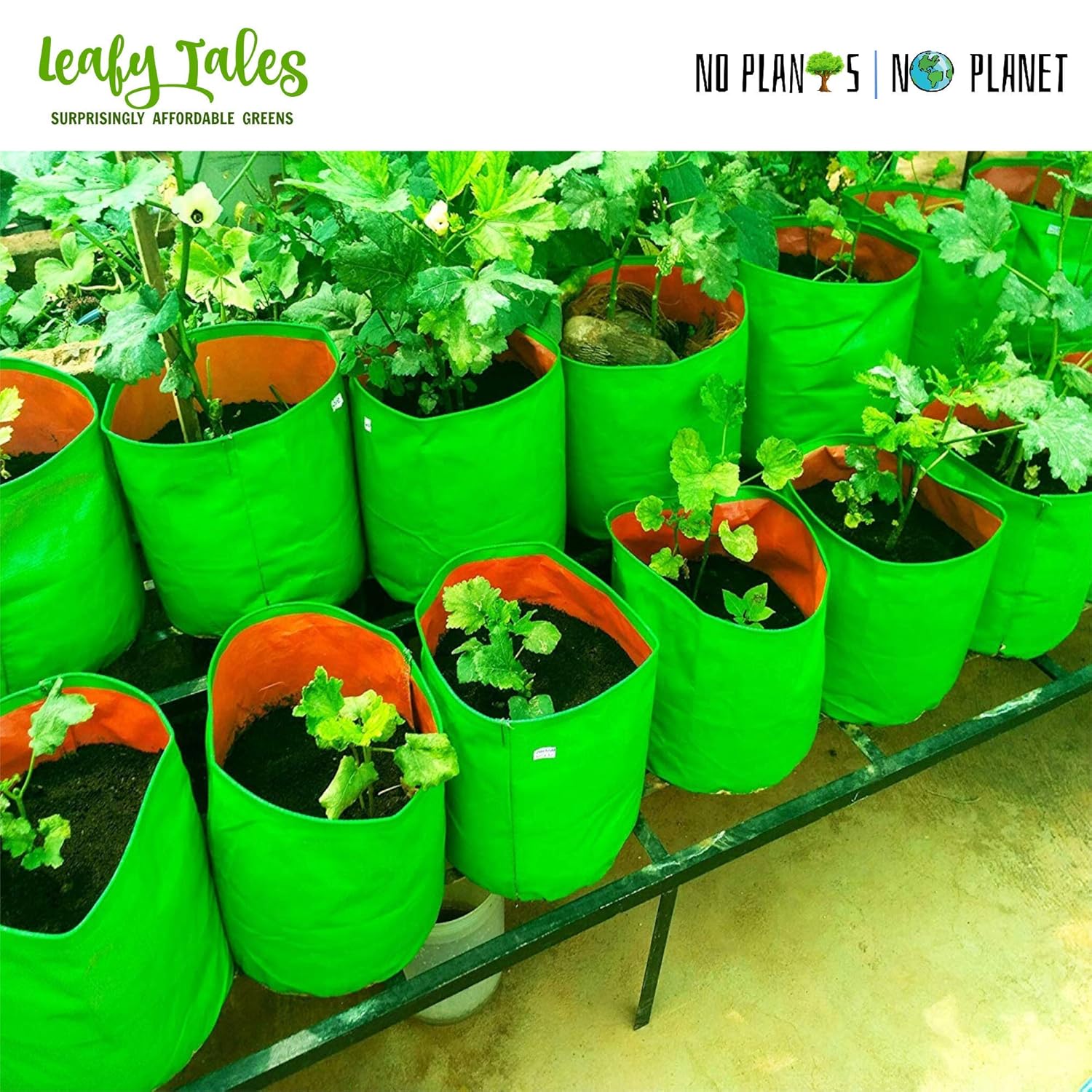 Leafy Tales HDPE Grow Bags, 12 x 12 inches, 5 Pieces, (Model: 12x12 Grow Bag - 5 pc)