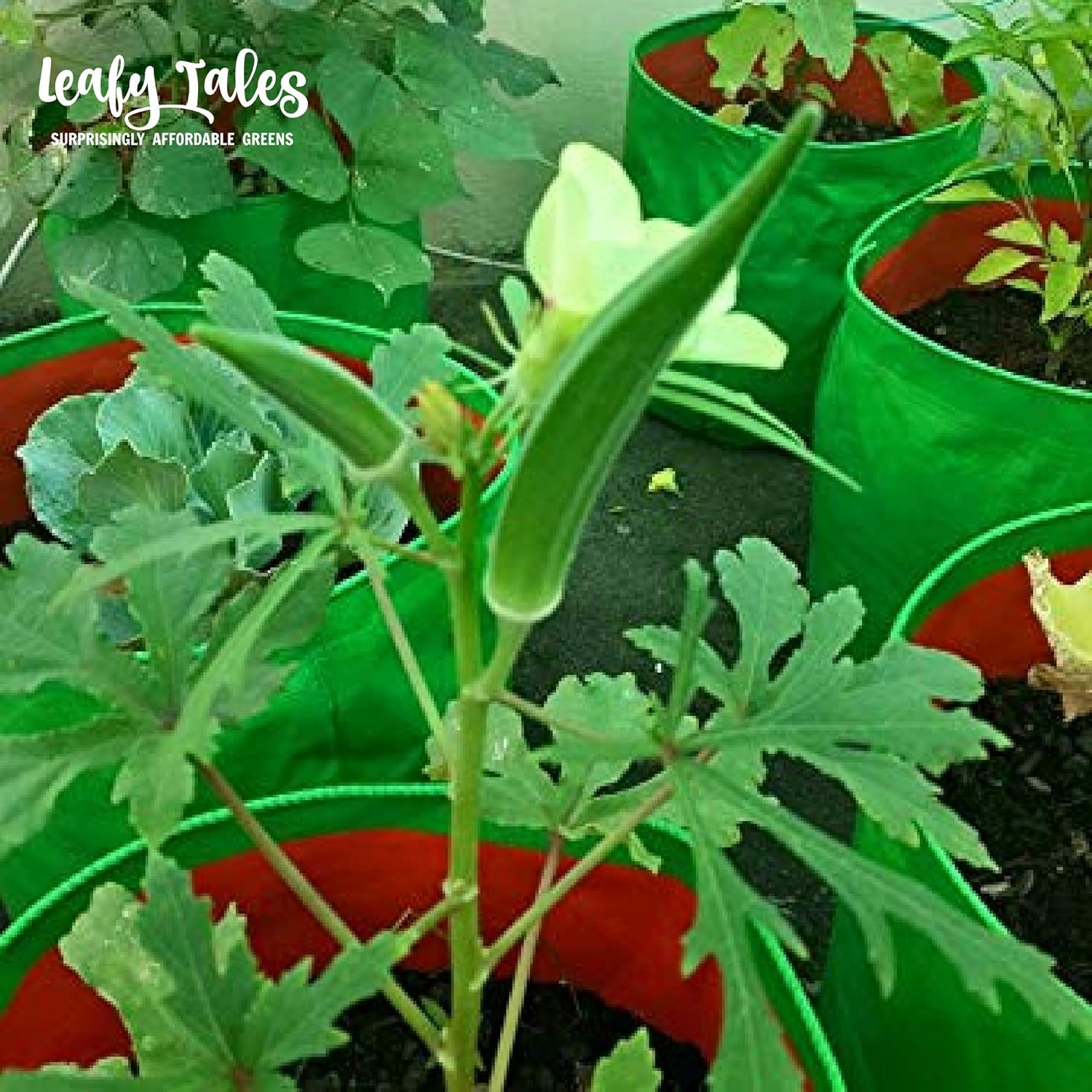 Leafy Tales HDPE Terrace Gardening Grow Bags, Green Color 9 x 9 inches, 16 Pieces