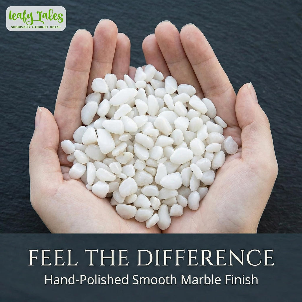 Leafy Tales White Polished Marble Stone Pebbles for Home & Garden Decoration| White Polish 5 Kg