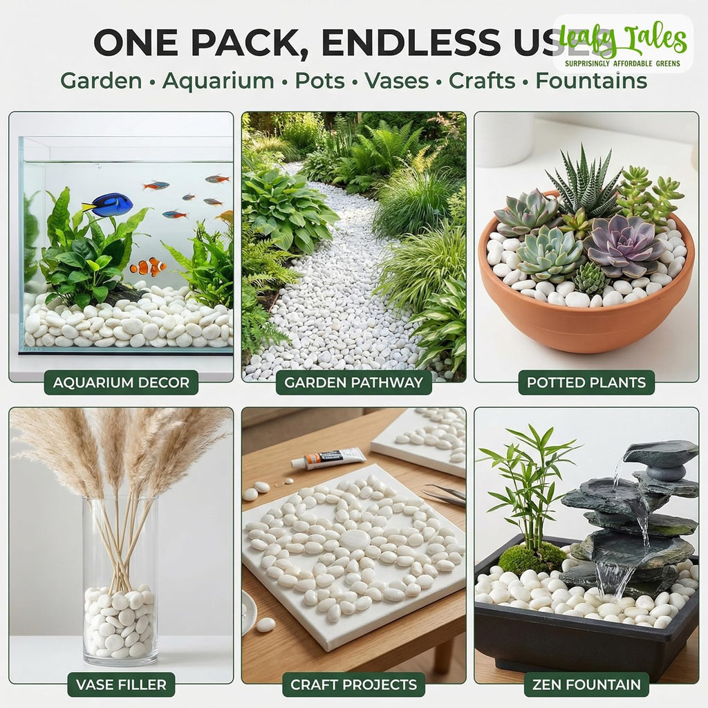 Leafy Tales White Polished Marble Stone Pebbles for Home & Garden Decoration|Plants & Pots|Art & Craft|Aquarium Vase Filler | White Polish 500 GMS