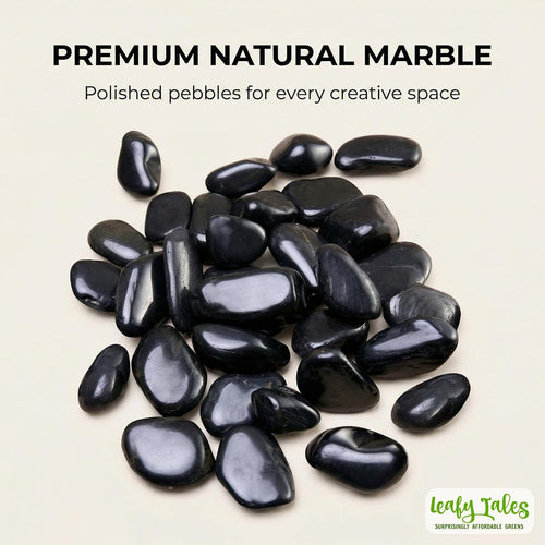 Leafy Tales Black Polished Marble Stone Pebbles for Home & Garden Decoration|Plants & Pots|Art & Craft|Aquarium Vase Filler | White Polish 500 GMS