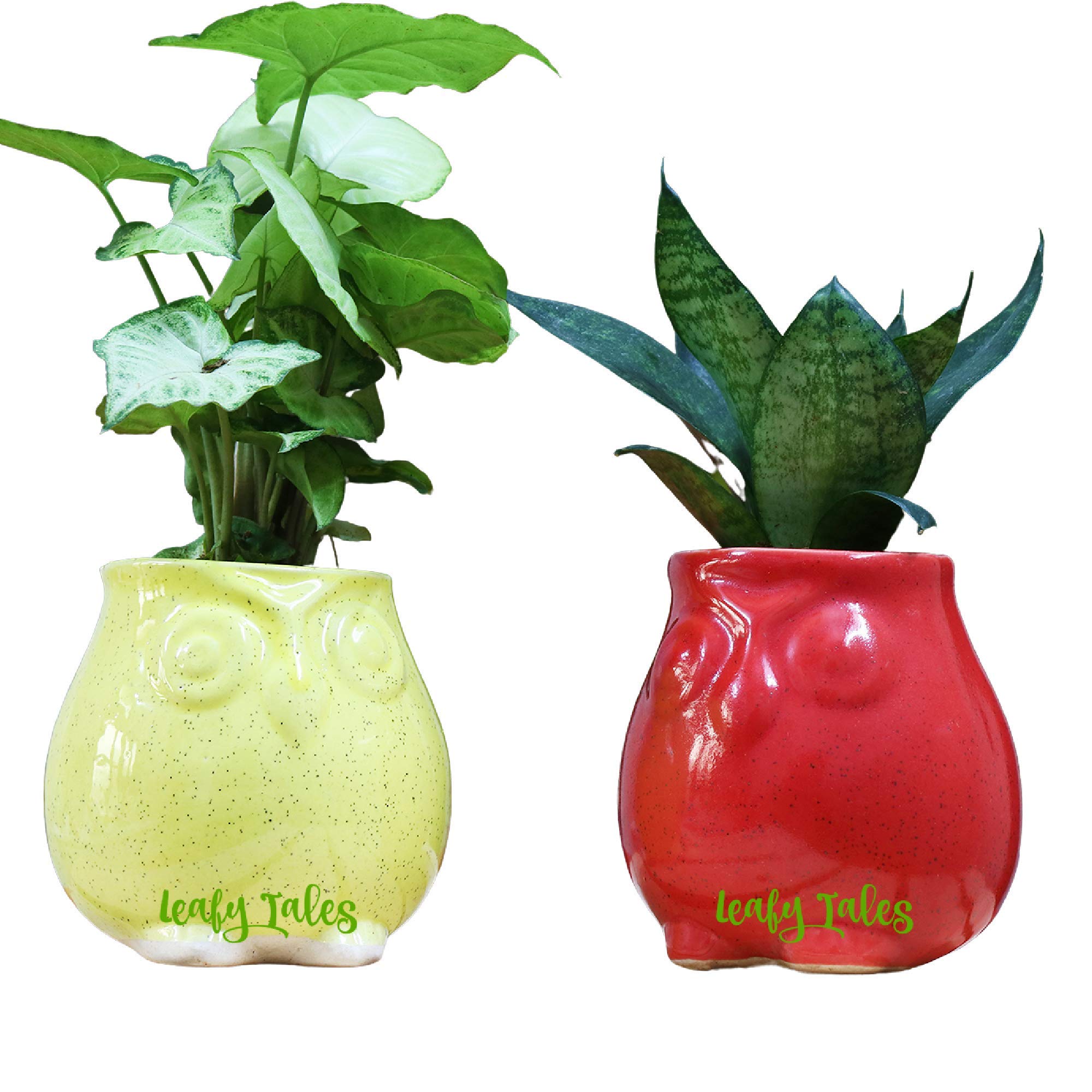 Leafy Tales Ceramic Cactus Shape Planter, Small Size - 1 pc, Olive, Medium