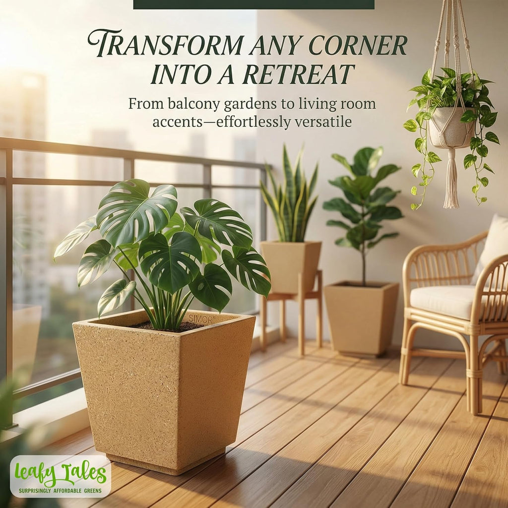 Leafy Tales Modern Square Planter for Home Dcor 10 INCH, Highly Durable,Lightweight Indoor Outdoor Planter, Flower Pot Gamla,Tree Planter, Pot for Balcony Garden, Vegetables, Flowers & Greenery