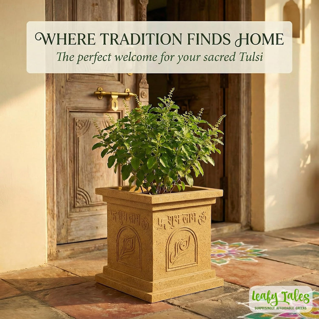 Leafy Tales Modern Greek Tulsi Pot/Planter for Home Décor 12 INCH, Highly Durable,Lightweight Indoor Outdoor Planter, Flower Pot Gamla,Tree Planter
