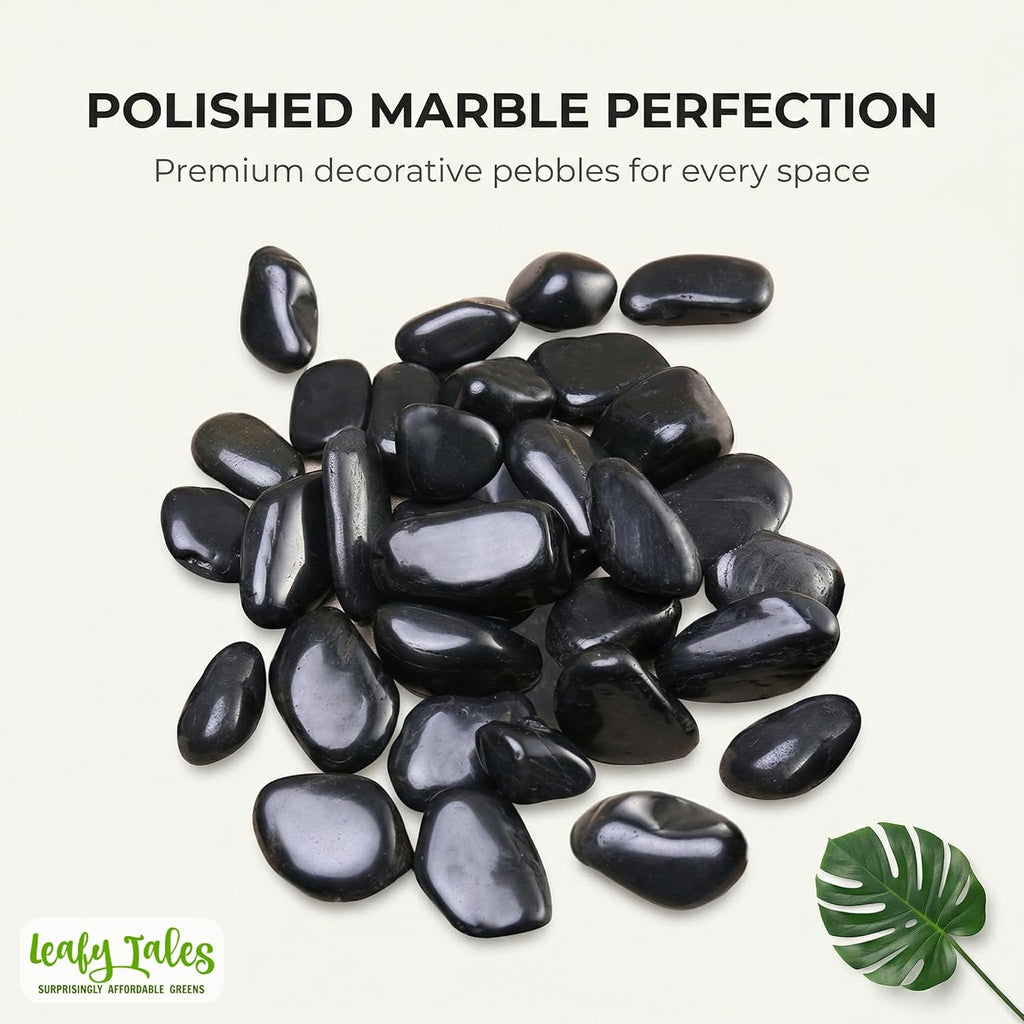 Leafy Tales Black Polish Marble Stone Pebbles for Home & Garden Decoration| Black Polish 2 Kg