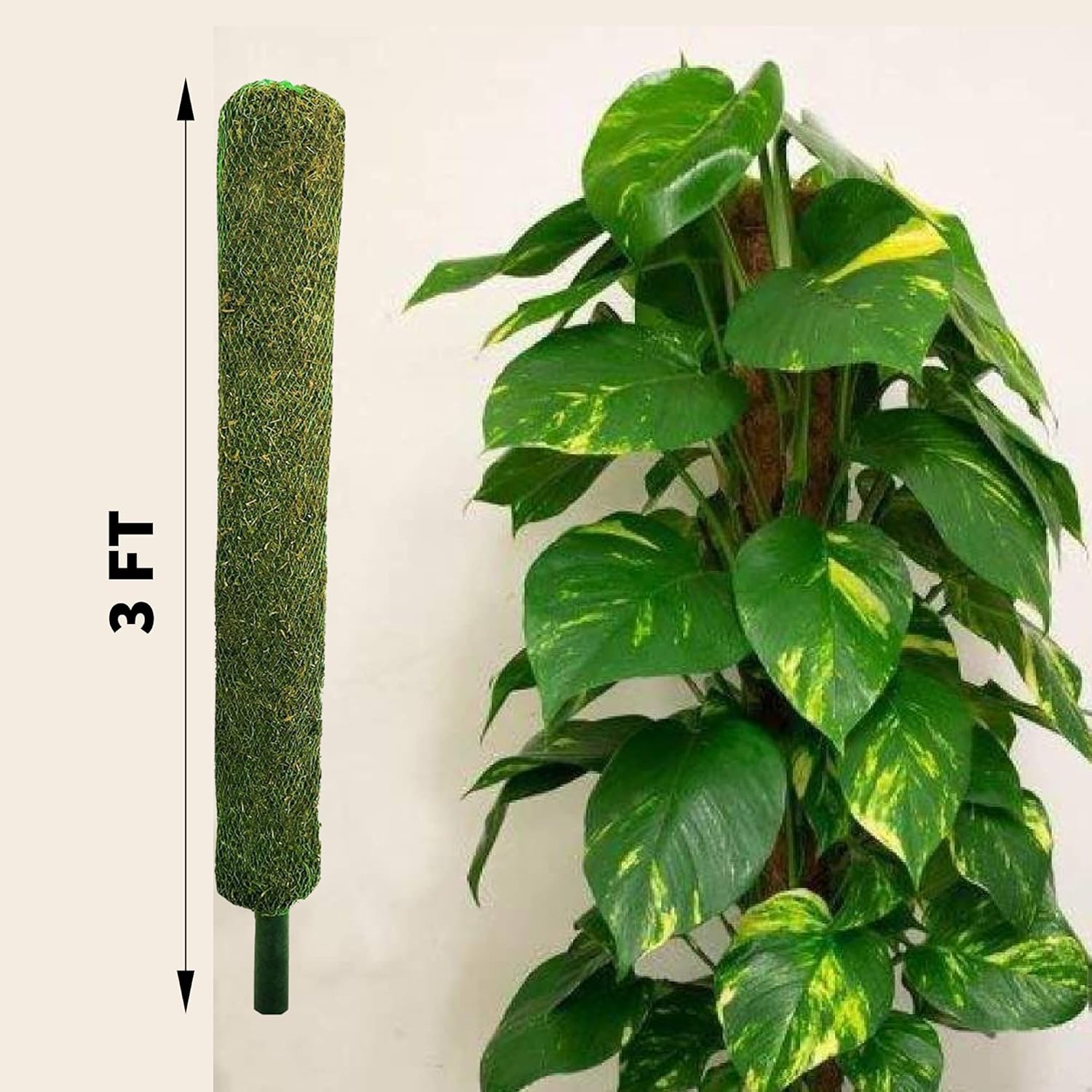 Leafy Tales Plant Support Moss Stick- Green Grass Pole for Plants Support, Support Stick for Money Plant, Climbing Indoor Plants(3 ft, Set of 6)