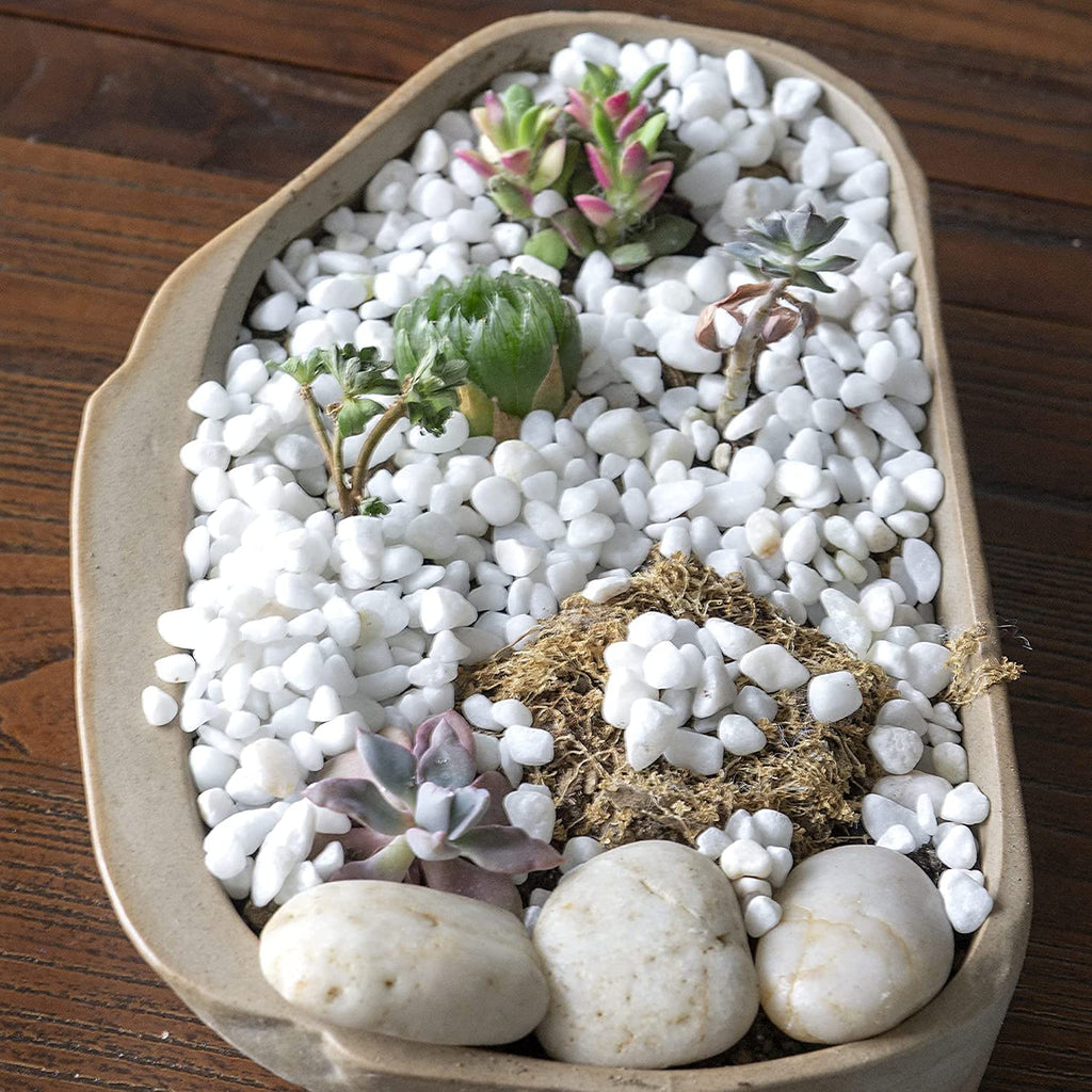 Leafy Tales White Polished Marble Stone Pebbles for Home & Garden Decoration| White Polish 2 Kg